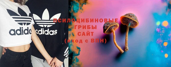 винт Верея