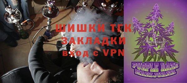 сатива Верхний Тагил